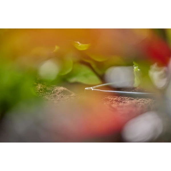 GARDENA Micro-Drip-System L-Stück 4,6mm (3/16"), Verbindung – Bild 5