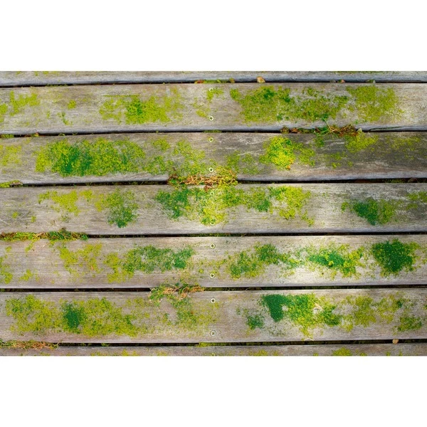 Ryobi Akku-Oberflächenreiniger RY18PCB-0, 18Volt, Hartbodenreiniger – Bild 8